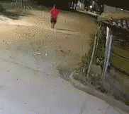 1750117 B